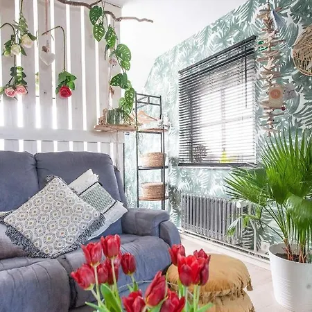Zalig Cosy 2-4 Pers.fietsen & Tuin Apartment *